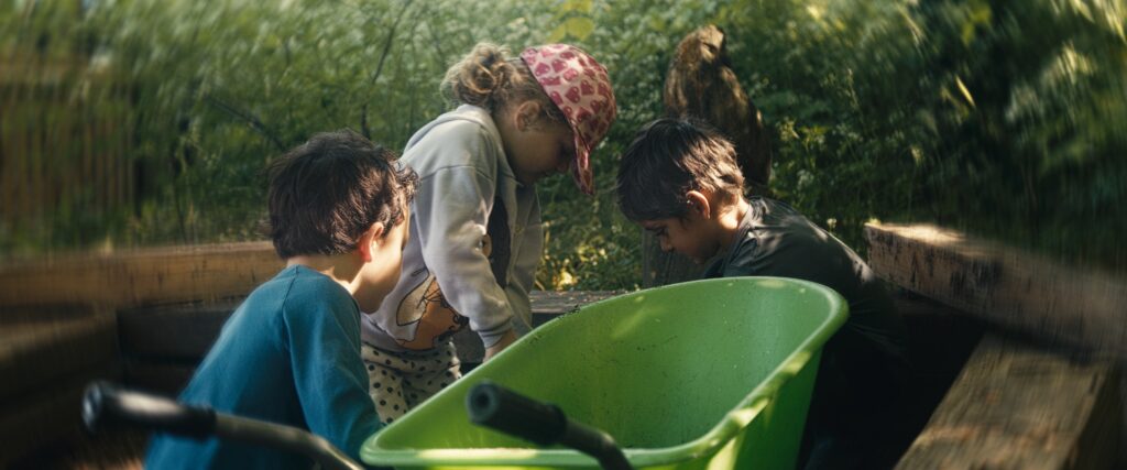 Pupils in a woodland