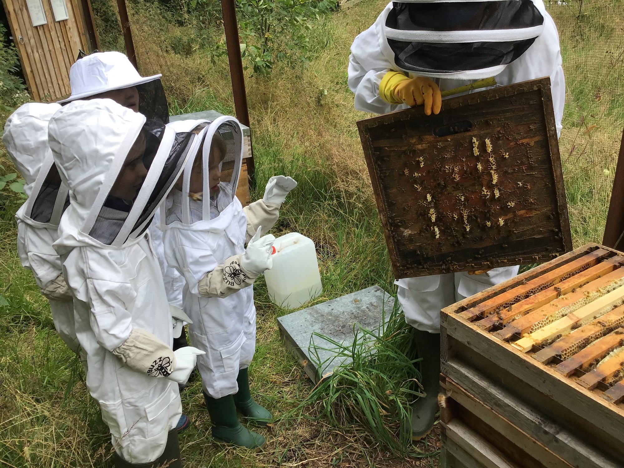 Pupils beekeeping at Exning Primary School